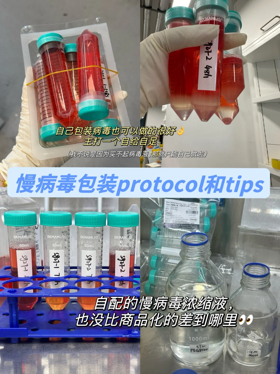 🥸自己包装慢病毒也可以高效率～