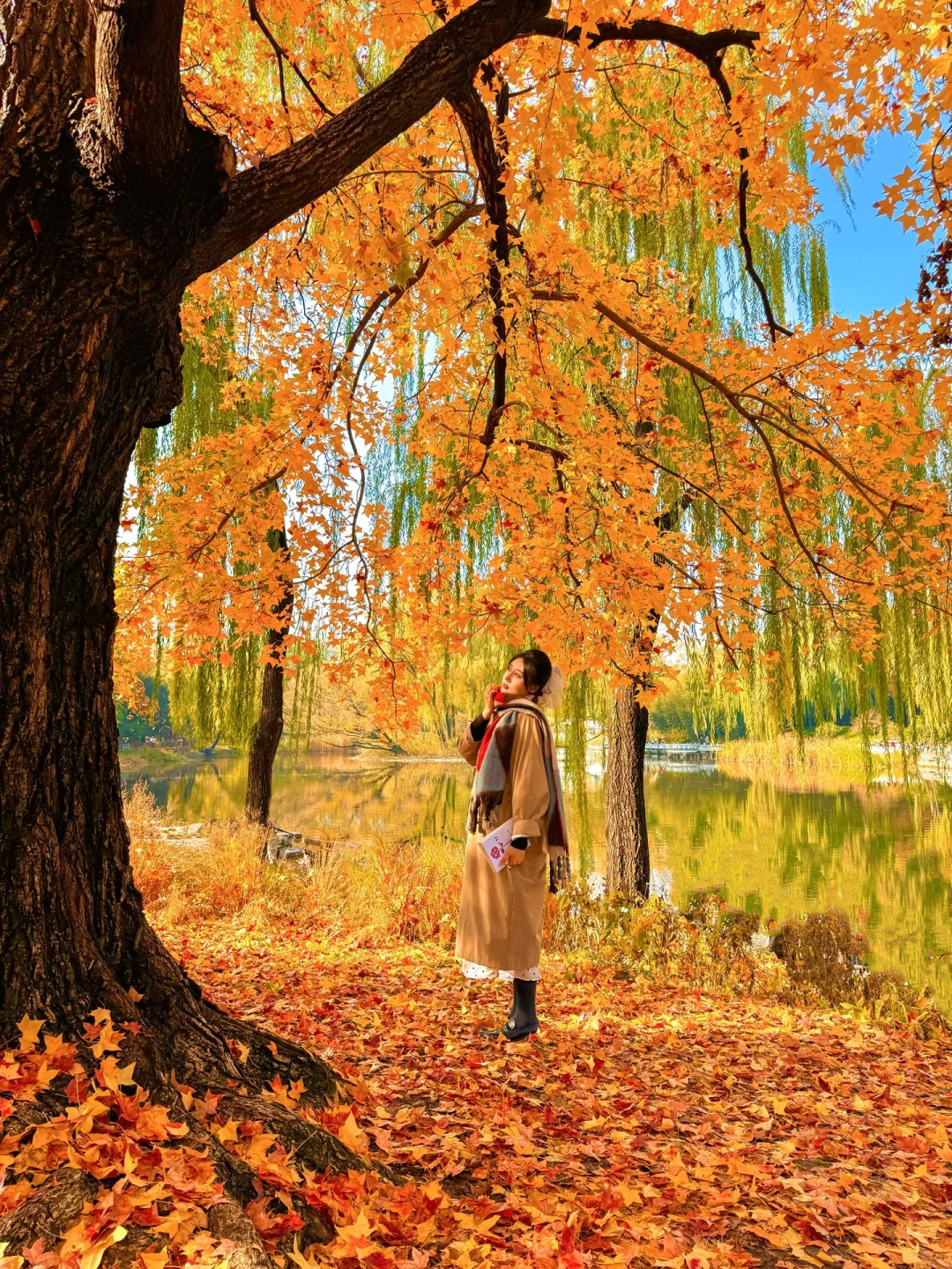 北京📍适合一个人逛一下午的地方（15/100）