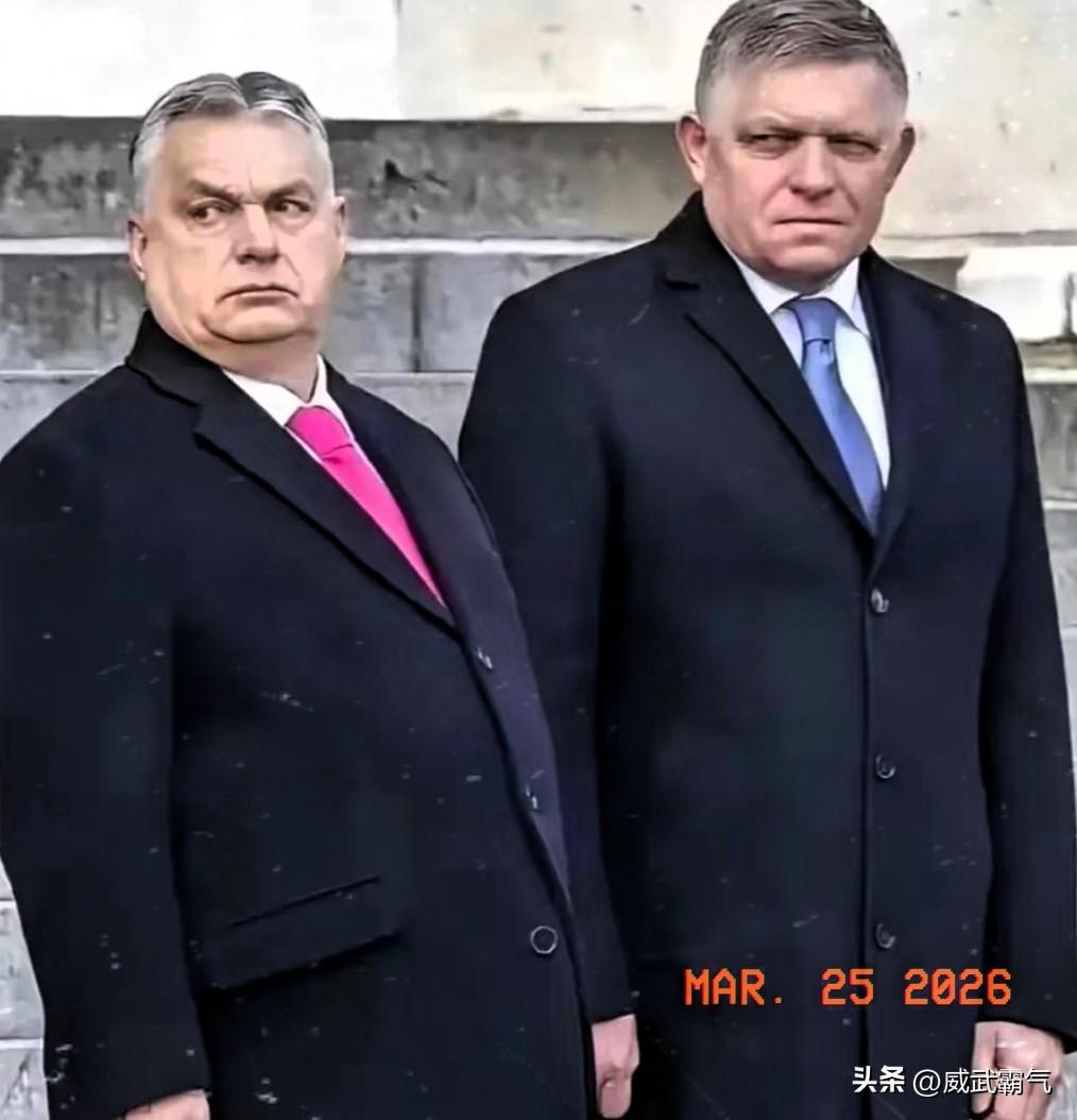 特朗普干涉他国正常内政的手又伸向了匈牙利。
特朗普24号在社交媒体写道：“匈牙利