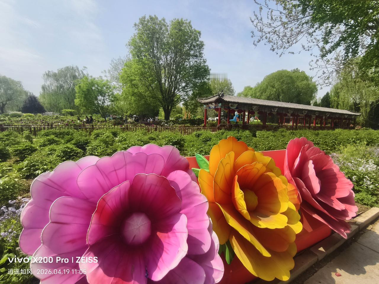 今日谷雨，春之末章，雨生百谷，万物润泽。
谷雨谚语:
 1. 谷雨前后，种瓜点豆