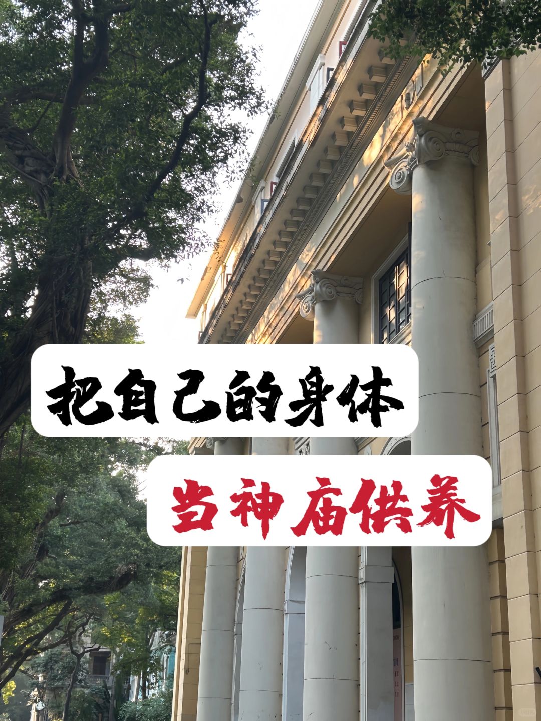 重新养自己一遍Day1：把自己当神庙一样供养