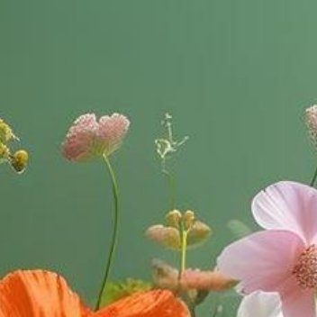 阳光信用 褪去急于求成的浮躁，放下过度执念的焦虑，以从容平和的心态拥抱日常，寻常