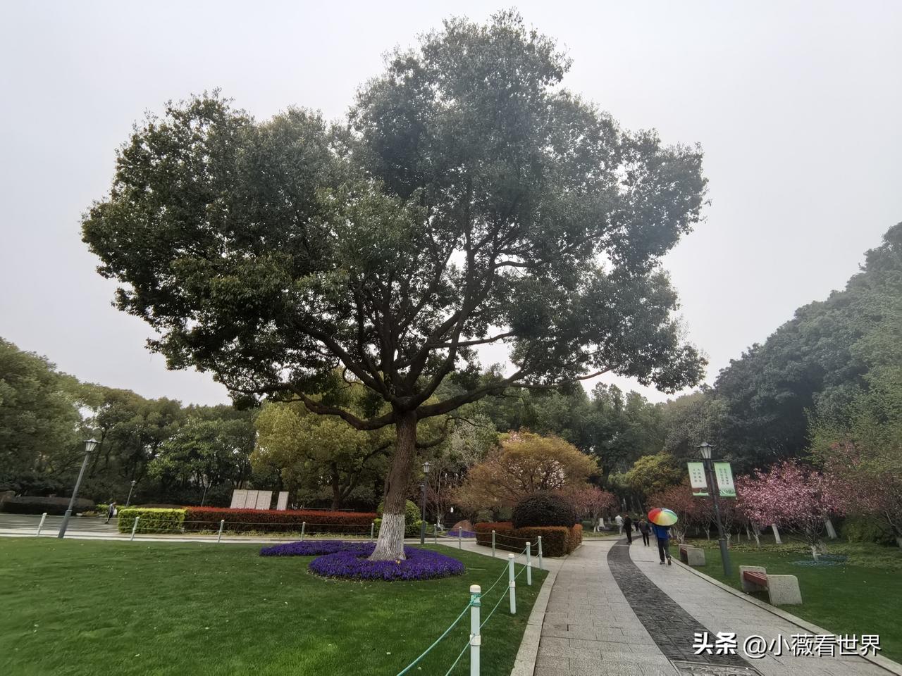 这两天，二伯父家堂姐可为难了。为了给爹妈上坟的事，真正是两头不讨好，里外不是人啊