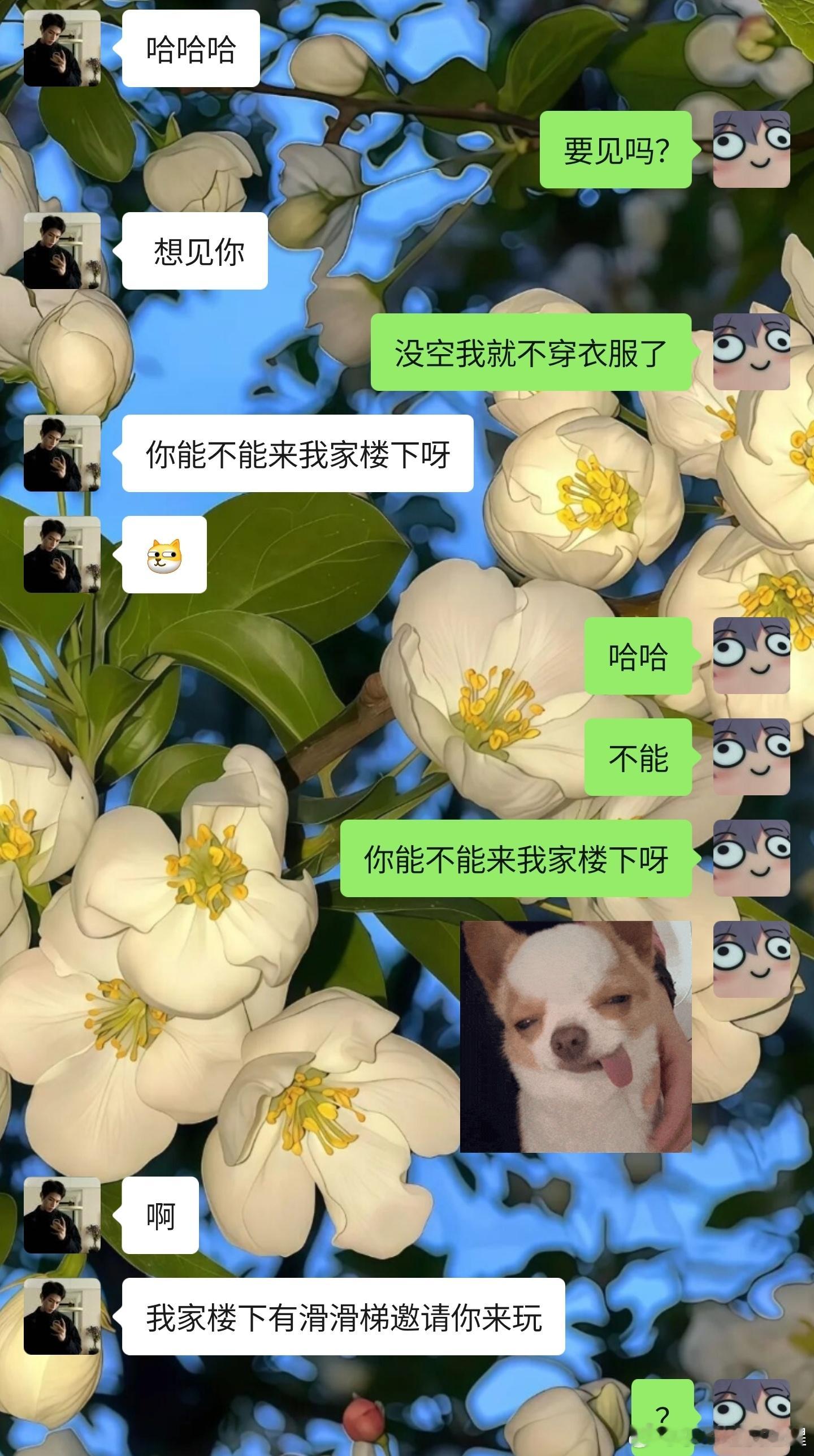 你能不能来我家楼下啊我家楼下有滑滑梯邀请你来玩！ 
