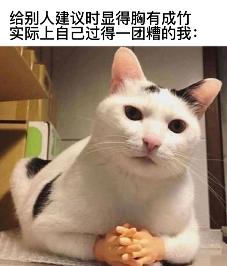 你信我#今日memes# //#我的幽默搭子# //#定格# ​​​
