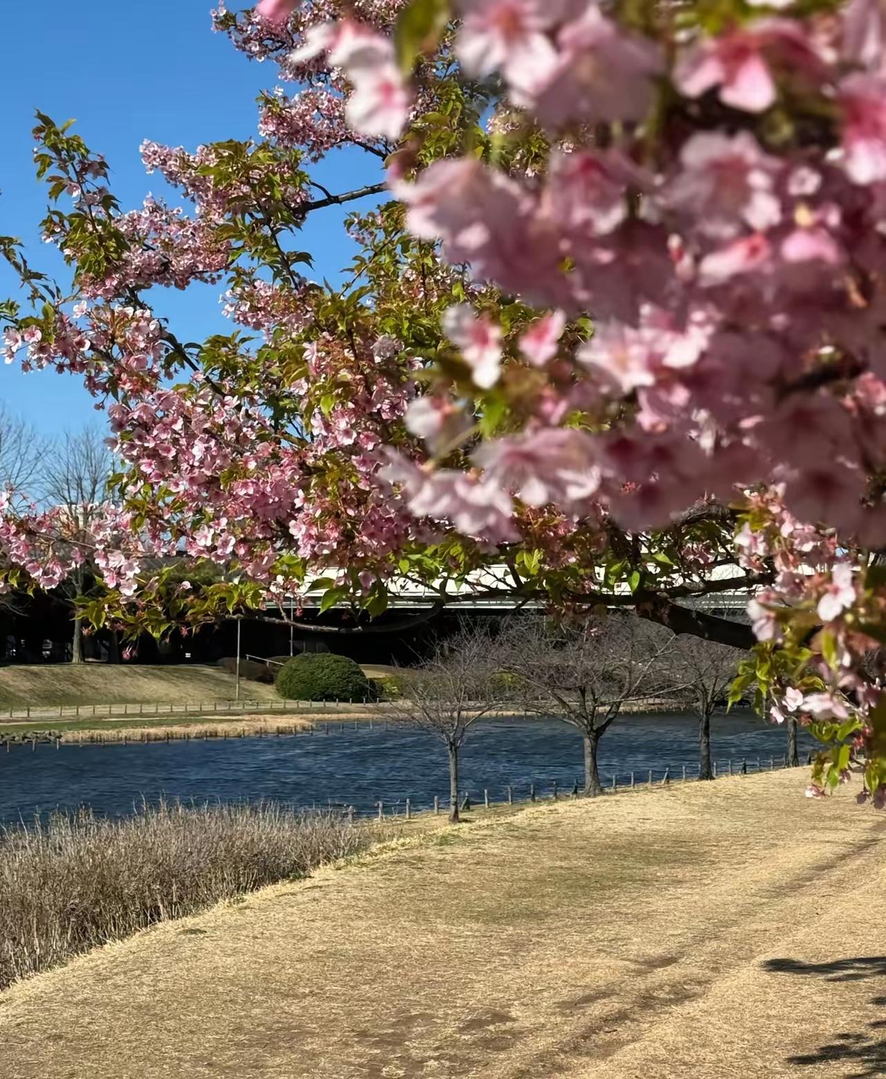 医生一句大实话：未来击垮80、90后的，不是房贷车贷，是疾病
 
医生说得太现实