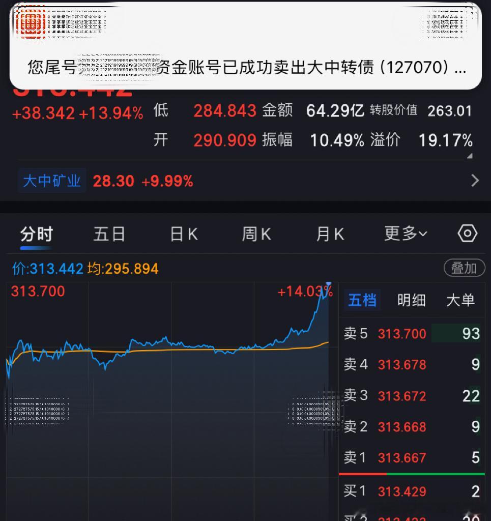 大中转债 王者🤴可转债