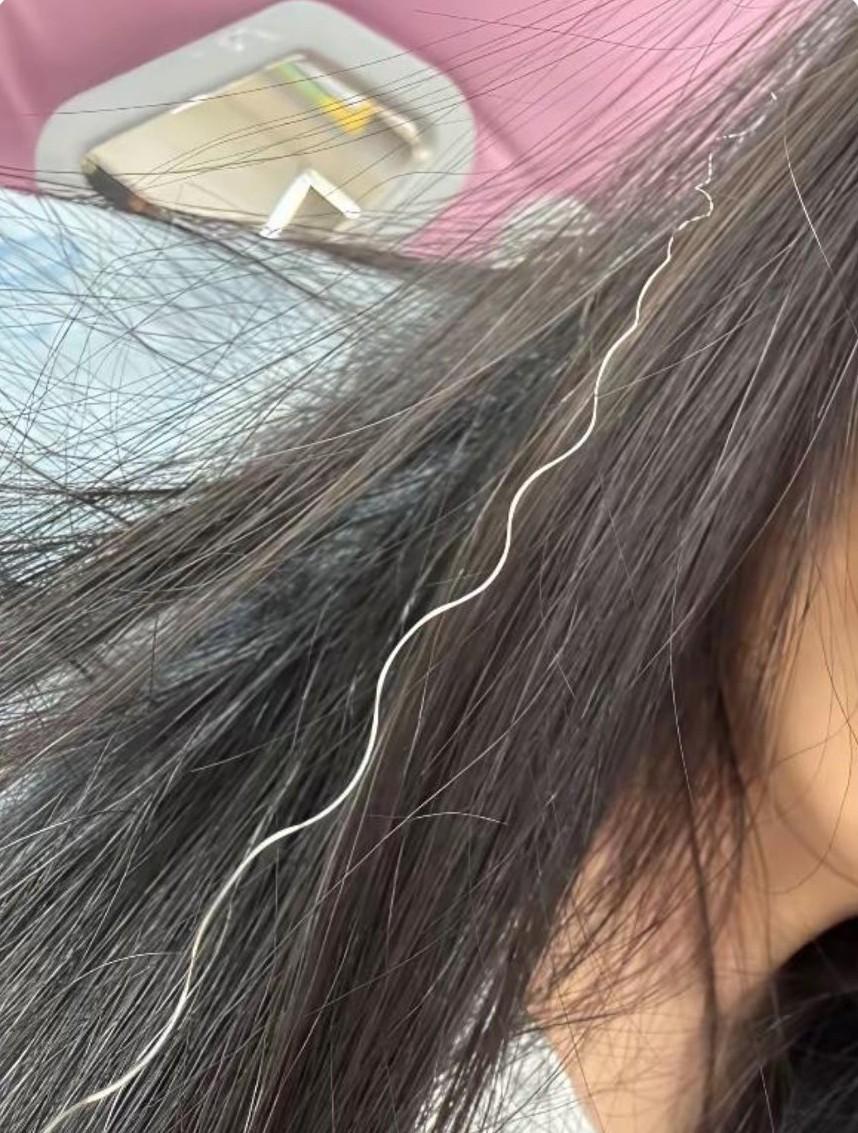 同事的头发里，有一根格外显眼的白发，还是弯曲的。我心里一直有个疑问，为何这根白发