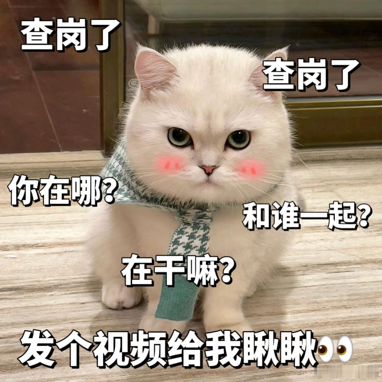 微信隐藏的查岗模式其实感情里最不必较真的，就是用“查岗”去丈量真心，当你打开微信