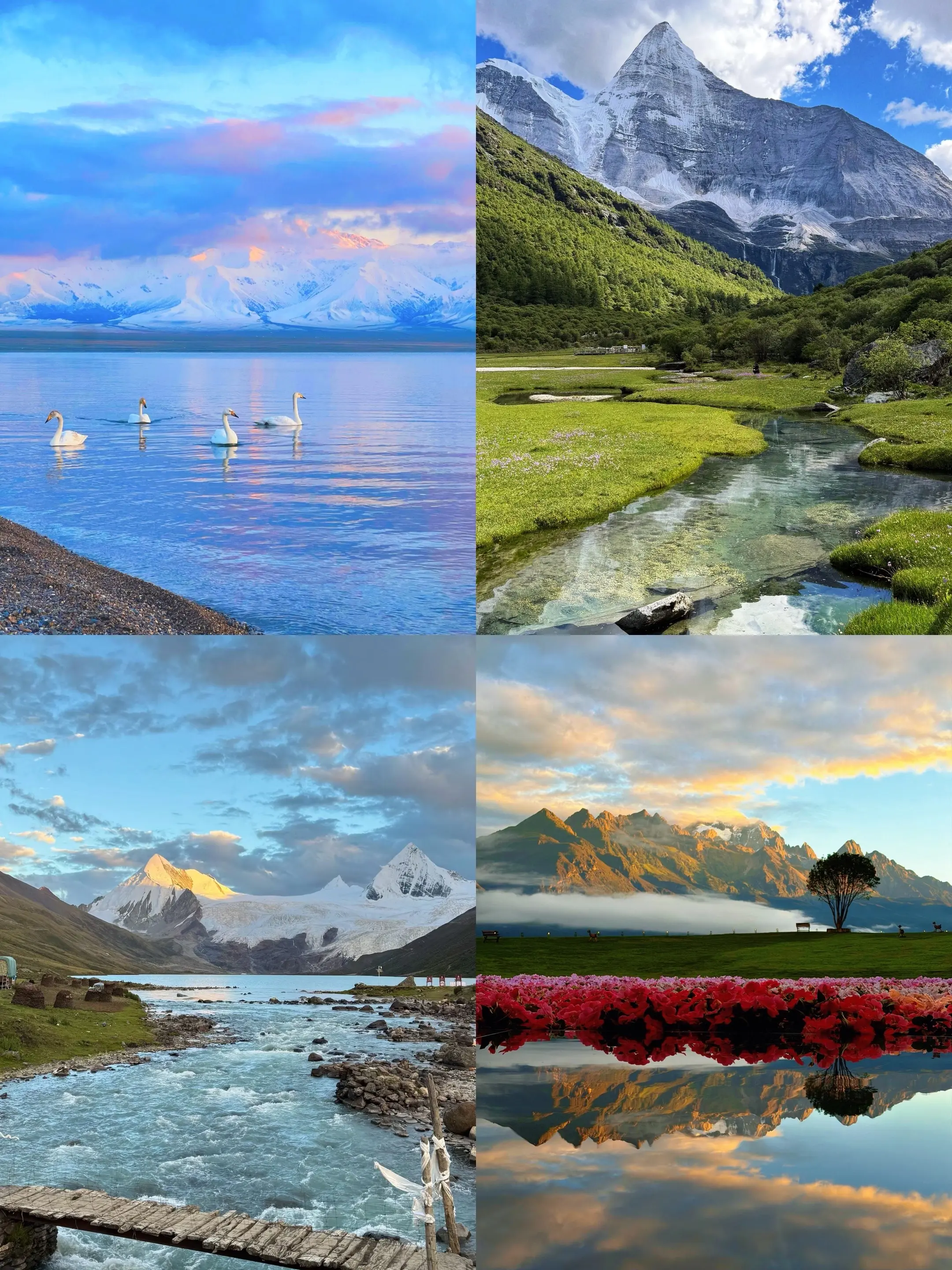 这世界大的让你很难不旅游.
