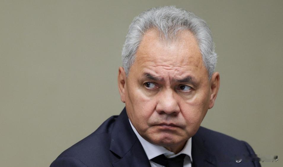 【绍伊古：俄罗斯不能坐视军备控制制度继续被夷为平地】
莫斯科时间2025年11月