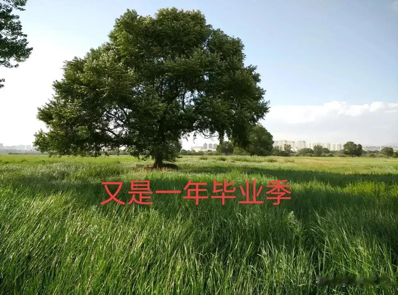 家贫出外闯，族旺留当地
又是一年毕业季，众多莘莘学子们结束学业走向社会。我把上面