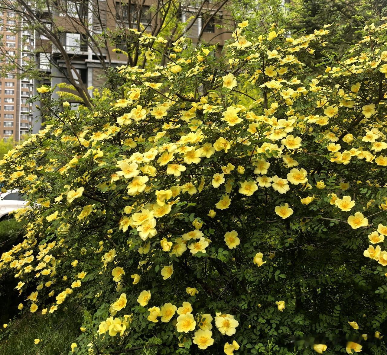 看淡世事纷扰，寻常皆是美好。