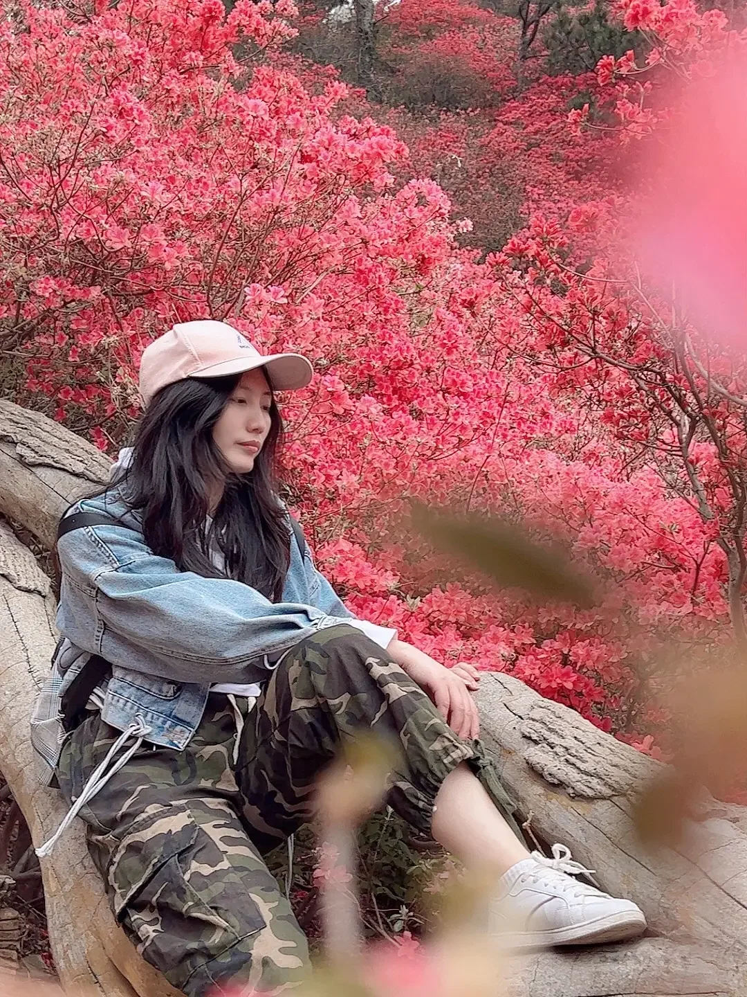 快别问了❗️4月武汉免费赏杜鹃花攻略来了❗️