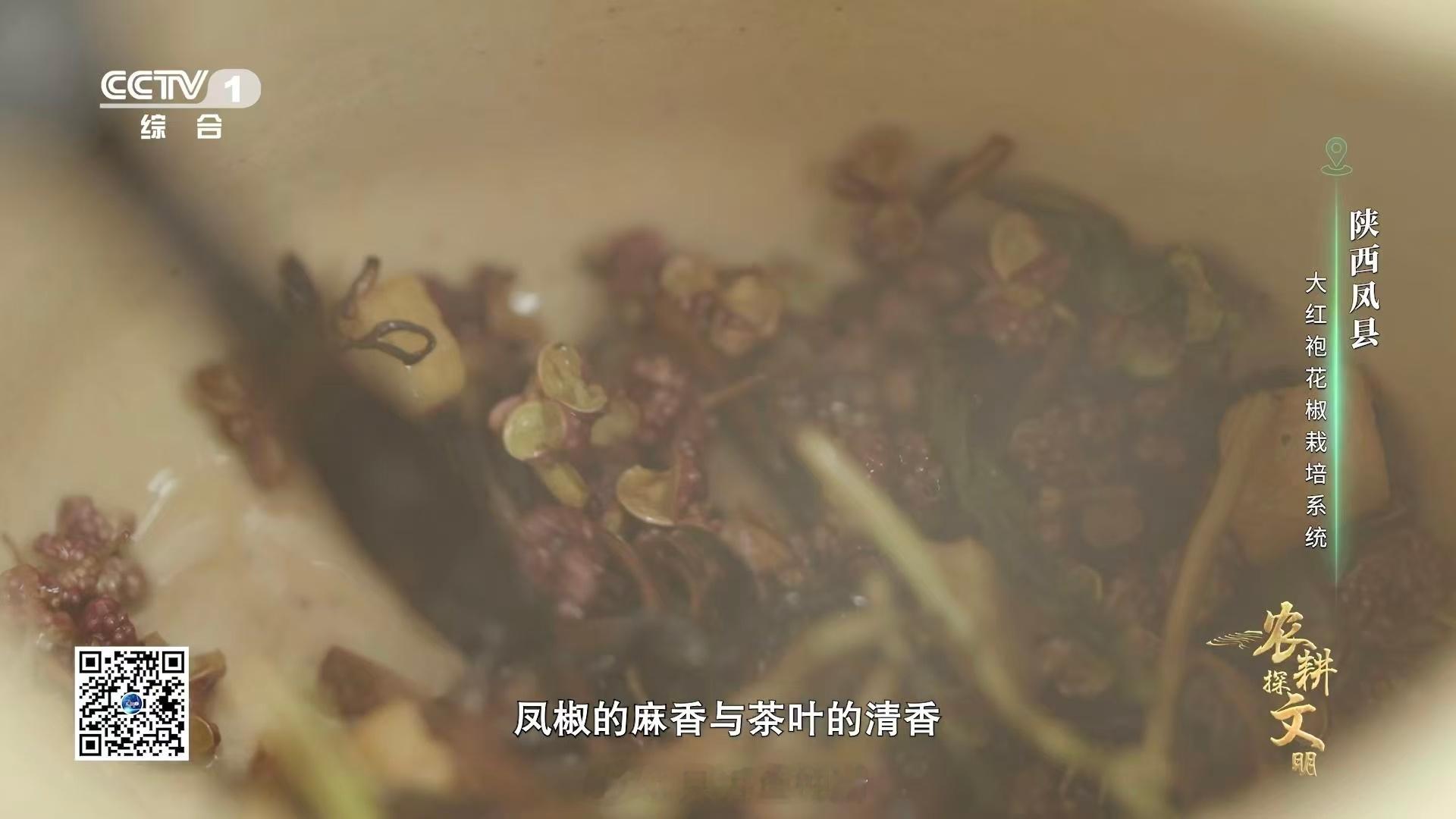 羌族传统美味太会了！凤椒炒茶加坚果慢炖，微麻提升茶香，茶香缓解麻感，入口醇厚清爽