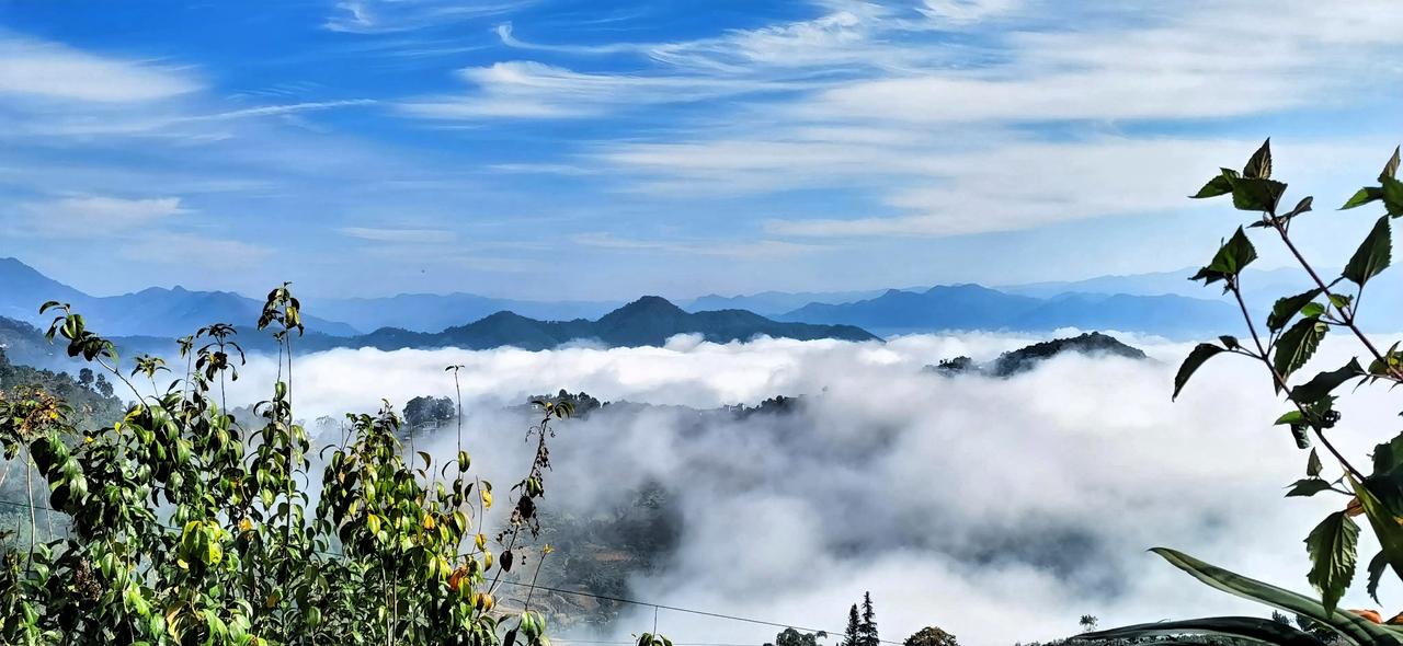 云海翻腾，山峦叠翠，大自然的鬼斧神工在这波澜壮阔的云海与翠绿山峦之间，每一处细节