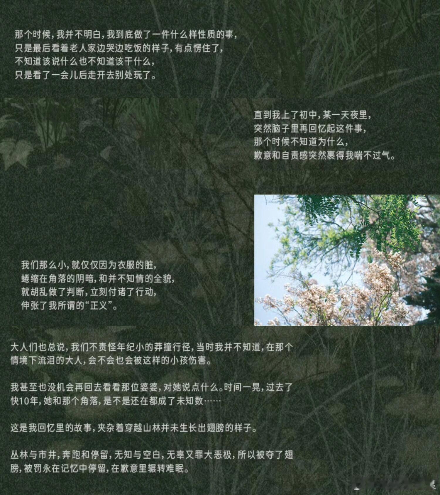 左航当初为什么要自爆用石头砸老奶奶啊！这下好了，肯定有人会先入为主左航 撞人 ​