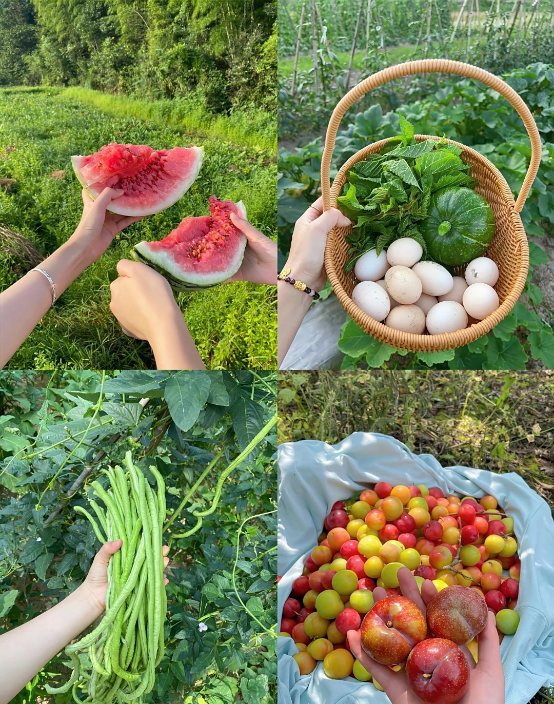 打野的持仓2层，纳指5层，别乱搞买一堆，稳健点。 ​​​