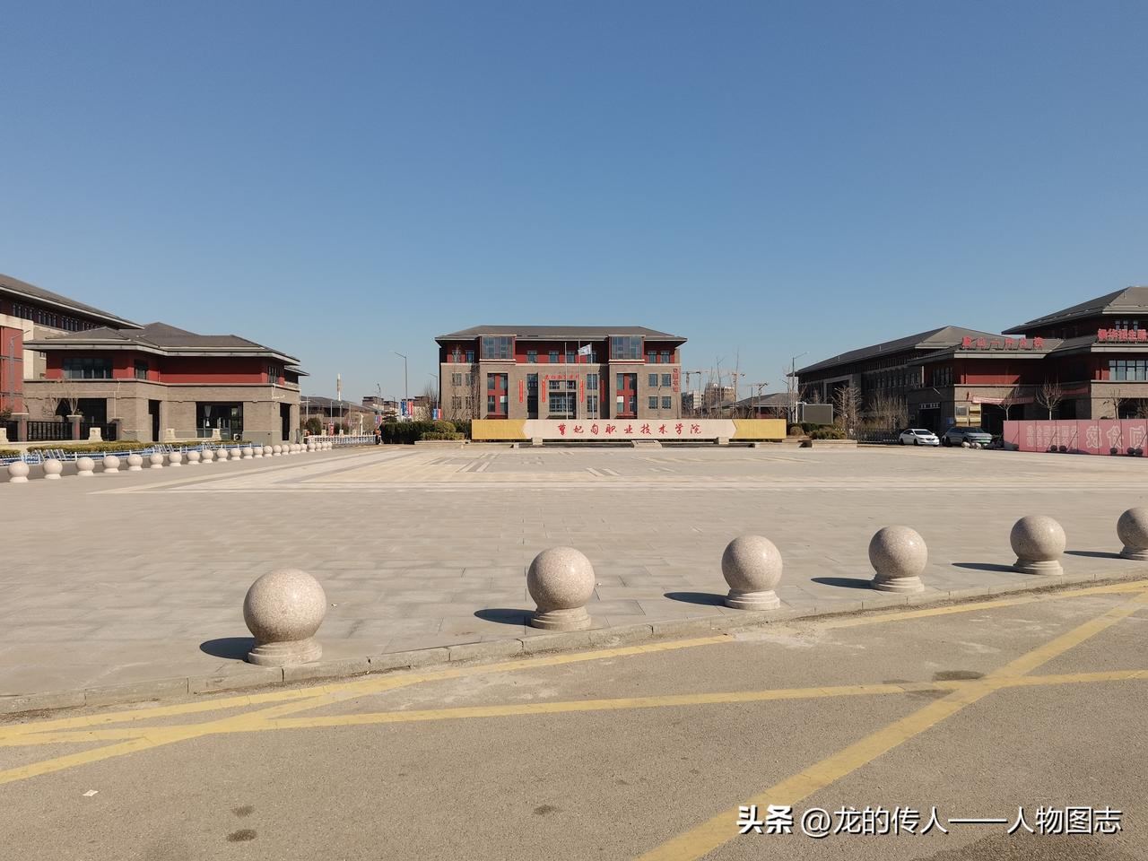 春日生活打卡季