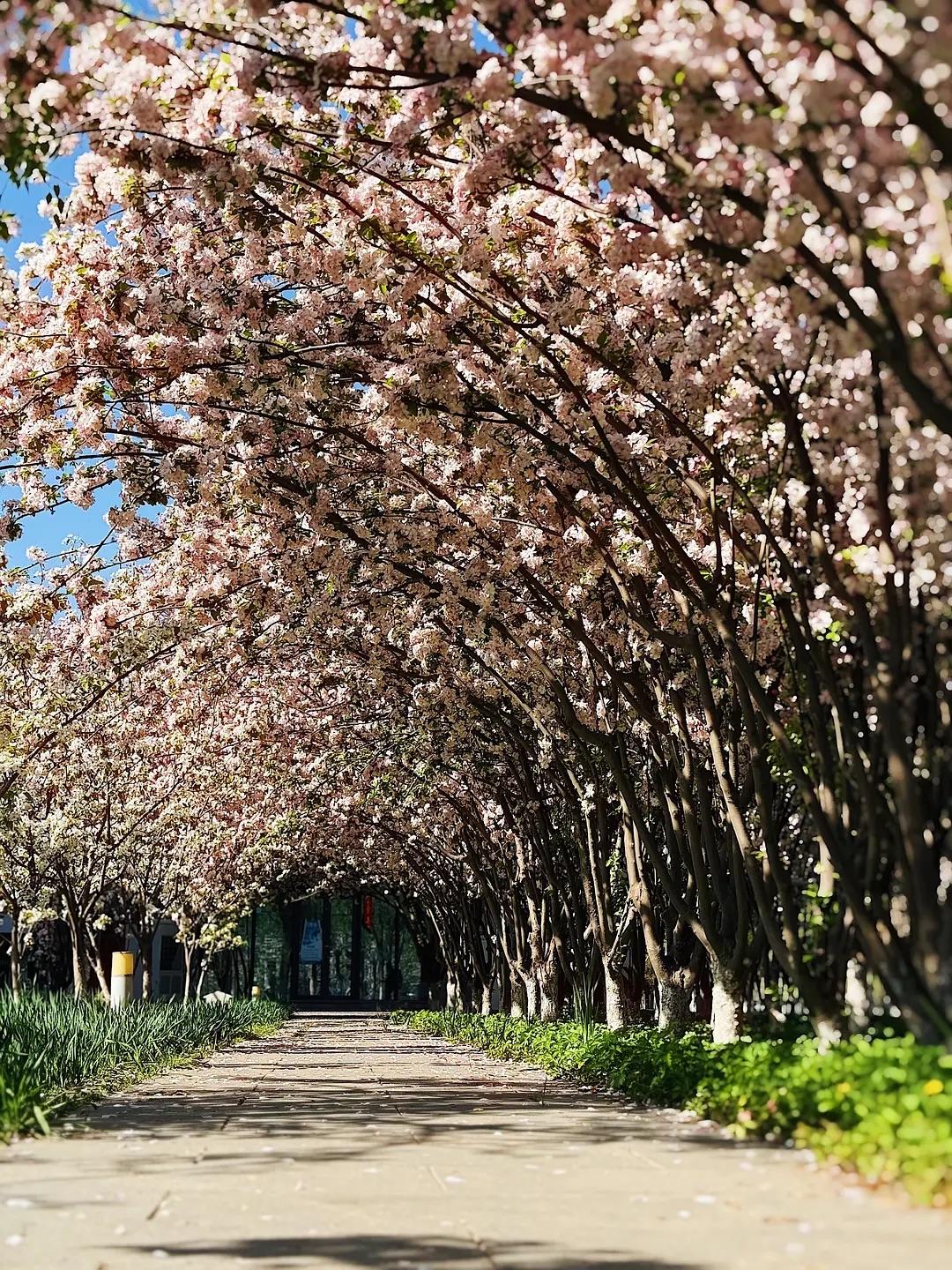 这样说话人缘自然变好了：

一、初次见面破冰
1．早就听他们提起你，今天总算见到