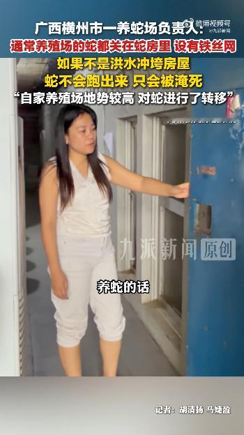 广西16年蛇类养殖户发声【广西横州有养蛇场被冲毁，16年蛇类养殖户发声：眼镜蛇和