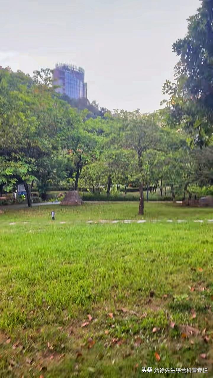 随拍民生掠影｜江门蓬江区×元宝山体育公园
园林生态园 自然人文景观 分享我眼中的