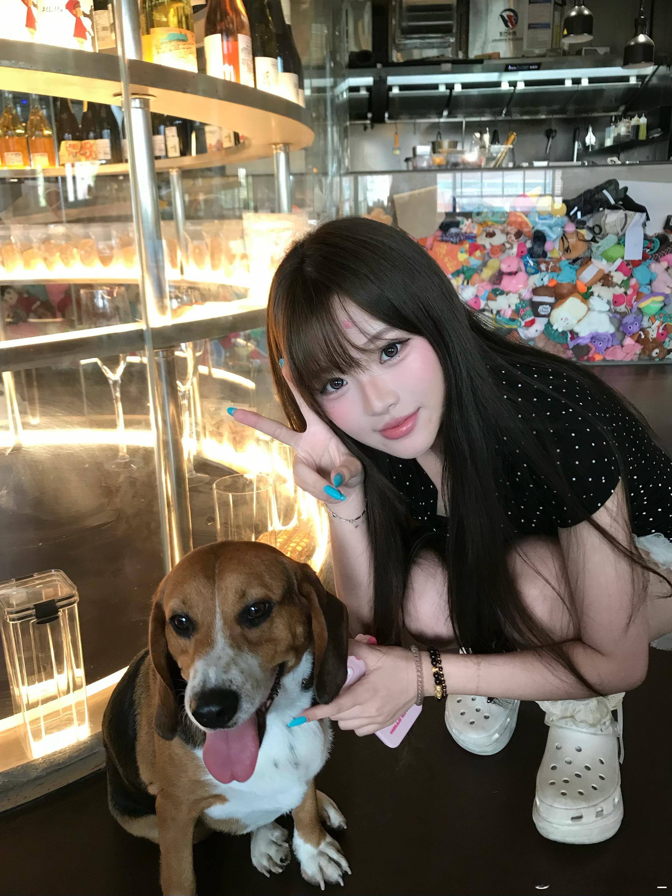 ૮ •ᴥ• ა 