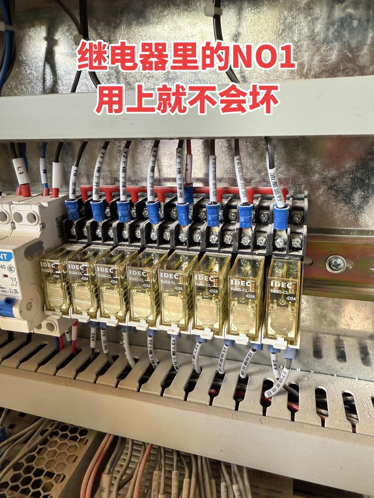 继电器里的NO1，基本不坏！电工 工控
