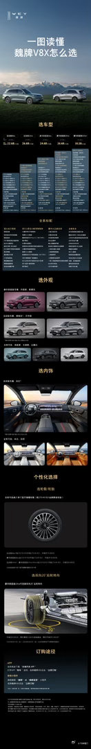 一车双旗舰，魏牌V8X  怎么选？一图读懂配置差异，豪华与运动，尽显从容魏牌V8