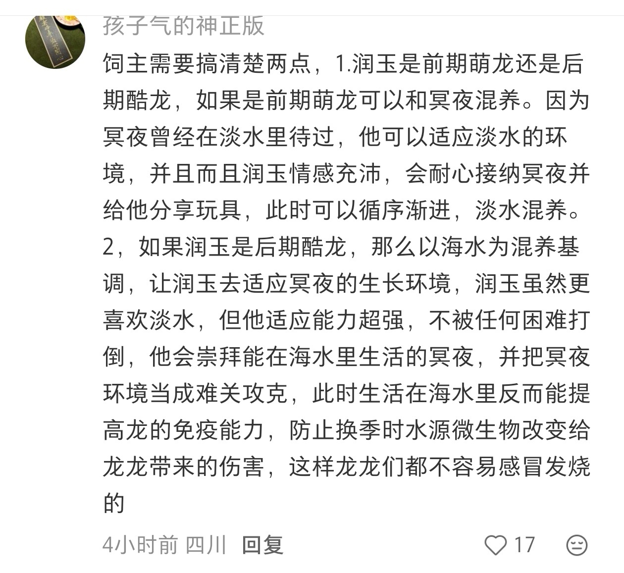 码住：龙龙饲养指南 
