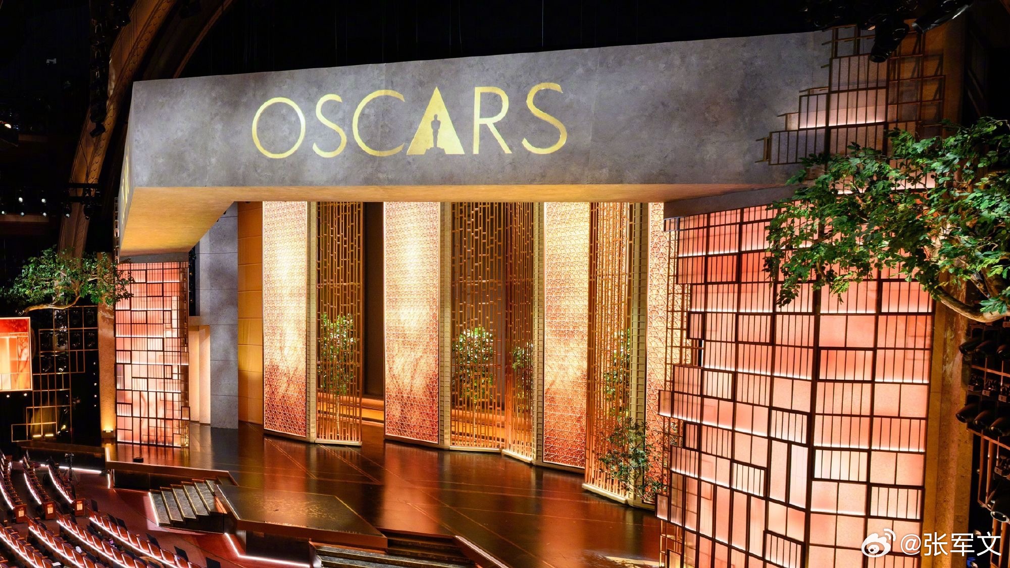 奥斯卡第98届奥斯卡红毯 星光炸场！3月16日奥斯卡红毯简直是时尚修罗场，女星组