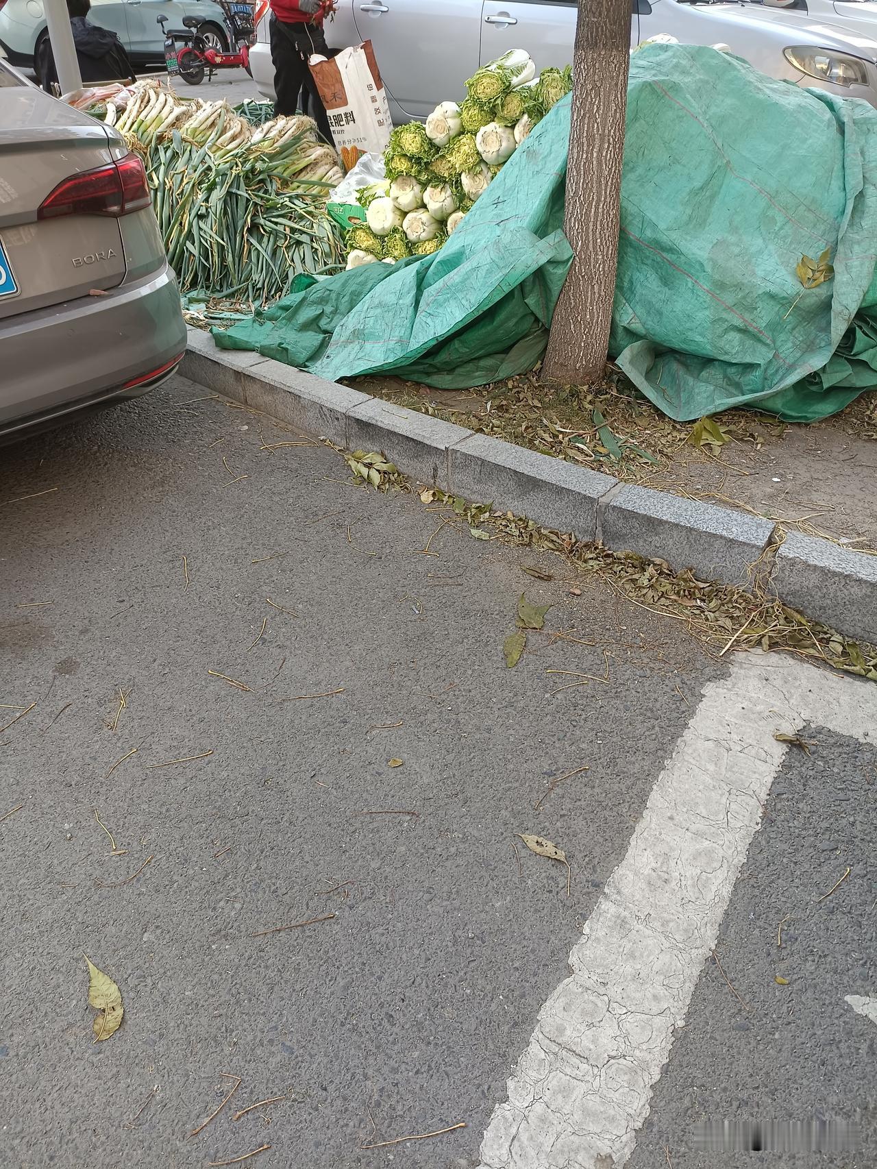 秋菜
“十.一”过后，秋菜陆续上市。以往年头设几个秋菜点，今年是集中在农贸市场。