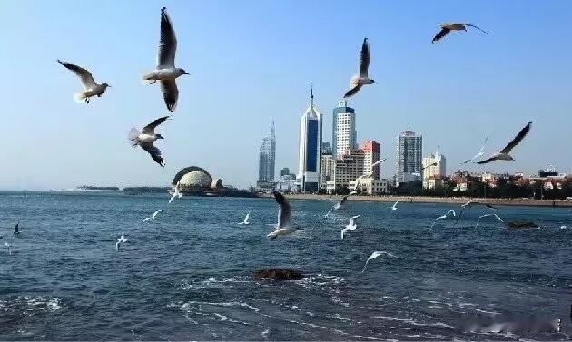 各地有各地的方言，也是一种地方文化，更是一种亲切温暖的乡音！比如在异地听到了家乡