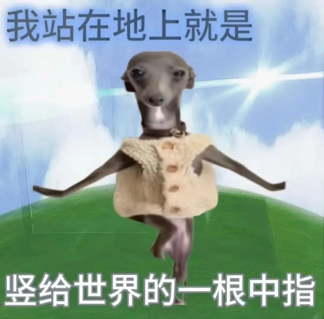 晚安💤 