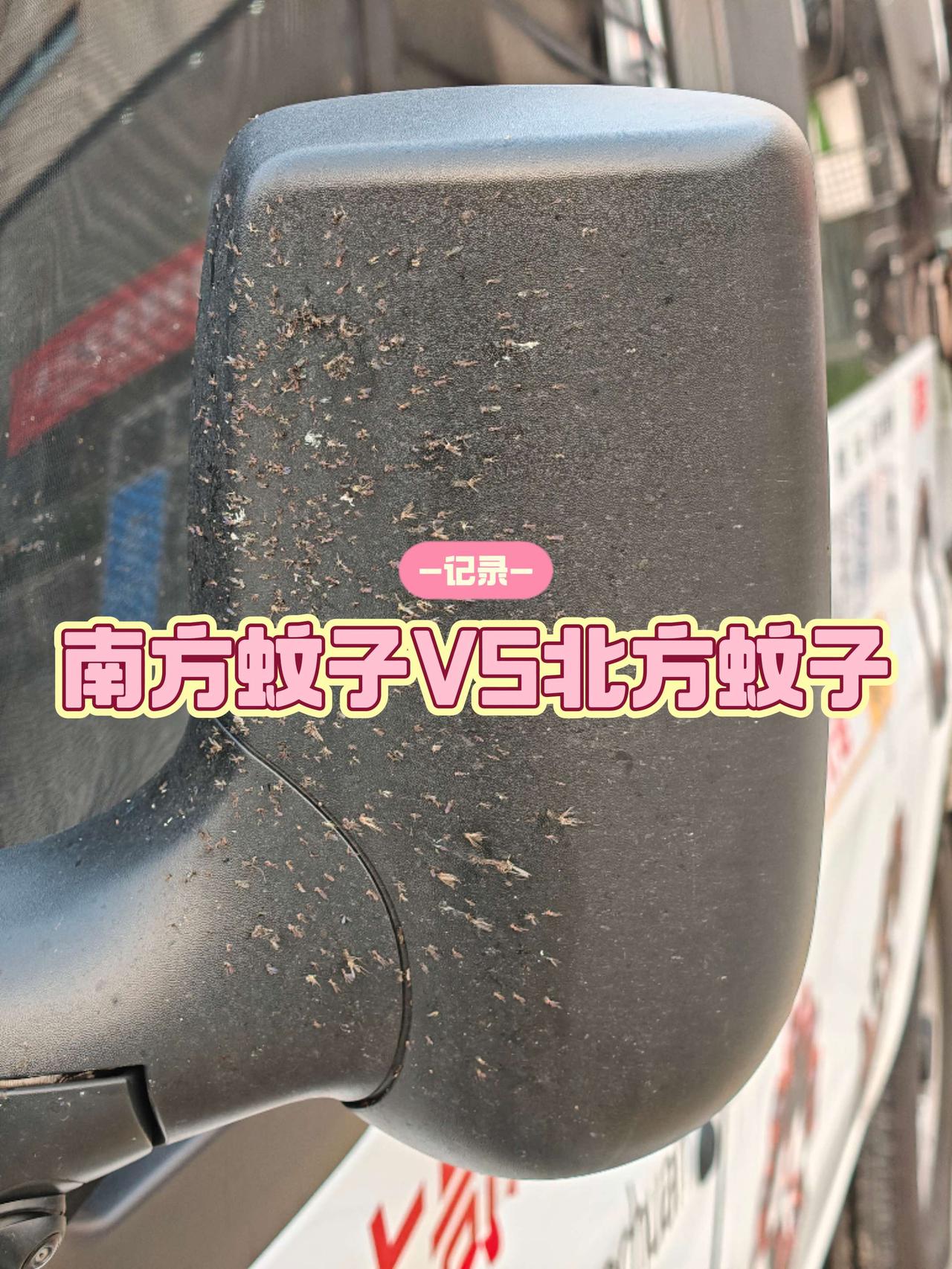 南方蚊子与北方蚊子的区别是什么？从广东往河北走高速，从徐闻到武汉，这一路也没什么