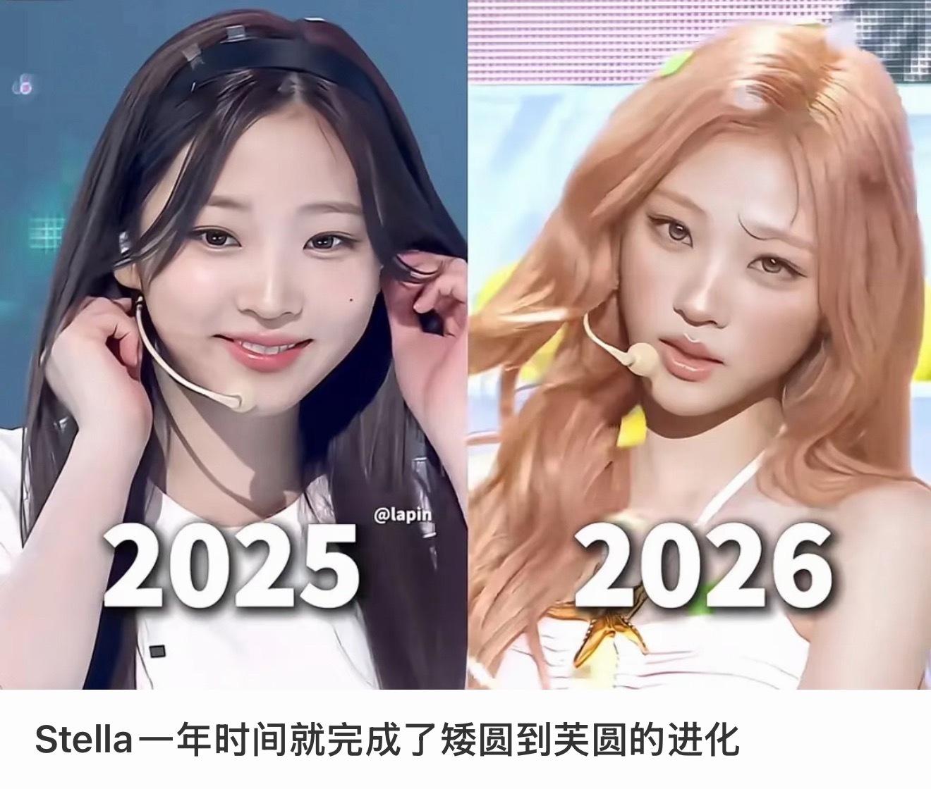 Stella一年时间就完成了矮圆到芙圆的进化 