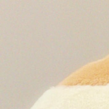 每日一善[超话] [给你小心心]每日一善 [给你小心心]阳光信用 11.2[太阳