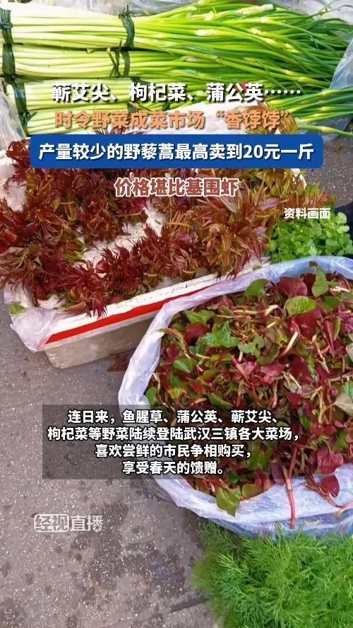 20元一斤！野菜成菜场“香饽饽”，为啥越贵越抢？看完懂了春天的小心思

春天一到