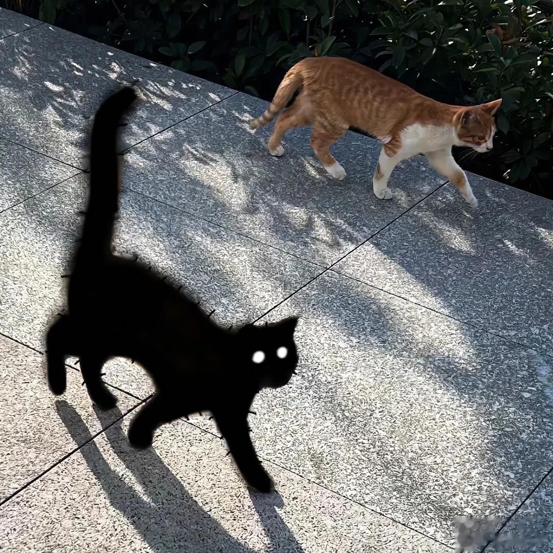 有时候你的话外话，我不是不懂，我只是装不懂，只为了维系我们之间仅存的这点情谊。友