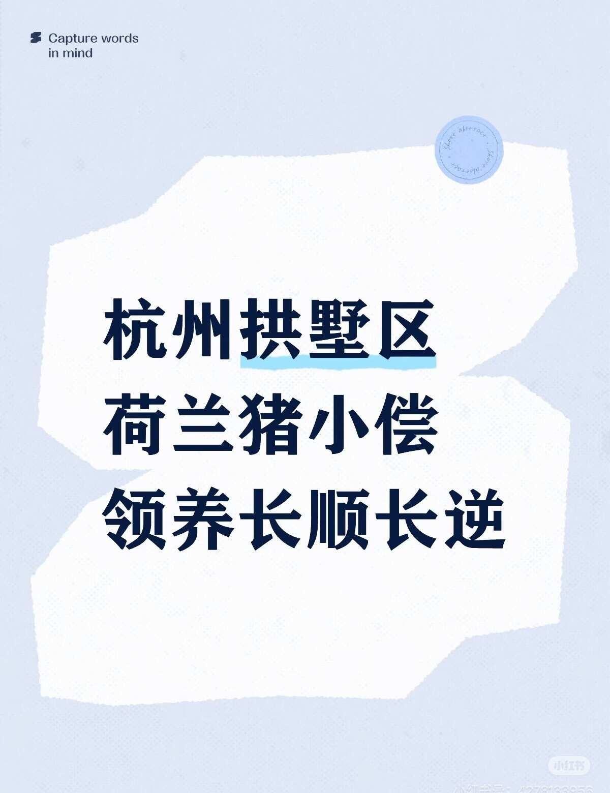 杭州拱墅区荷兰猪领养小偿
杭州拱墅区荷兰猪领养小偿
长顺毛长逆毛 0.5张小偿领
