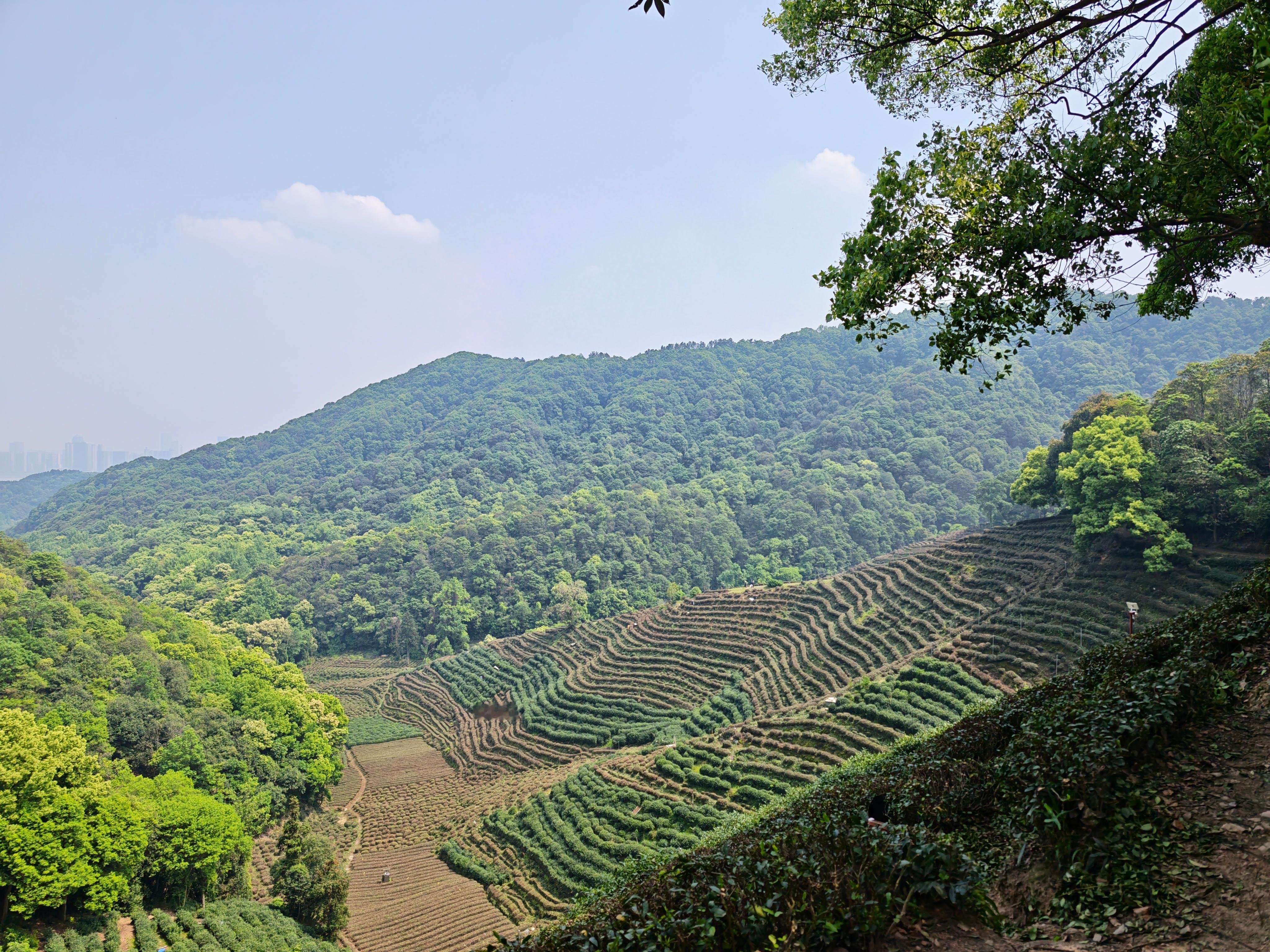 已爬登山 带相机的大佬们说最后拍来拍去还是手机拍的好哈哈哈荣耀Magic8Pro