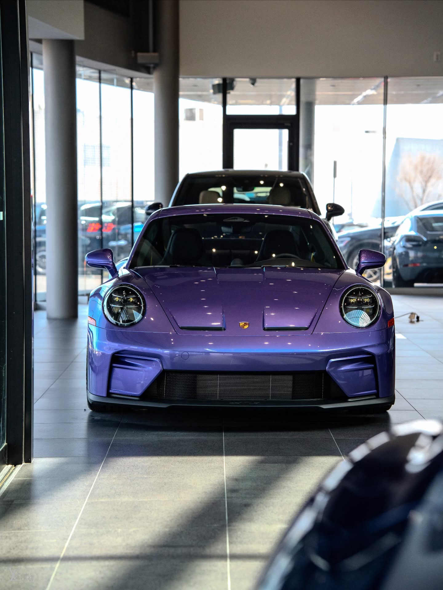 嬉戏跳跃，正想着复活节兔子却见到这辆身披 PTS Viola Metallic 