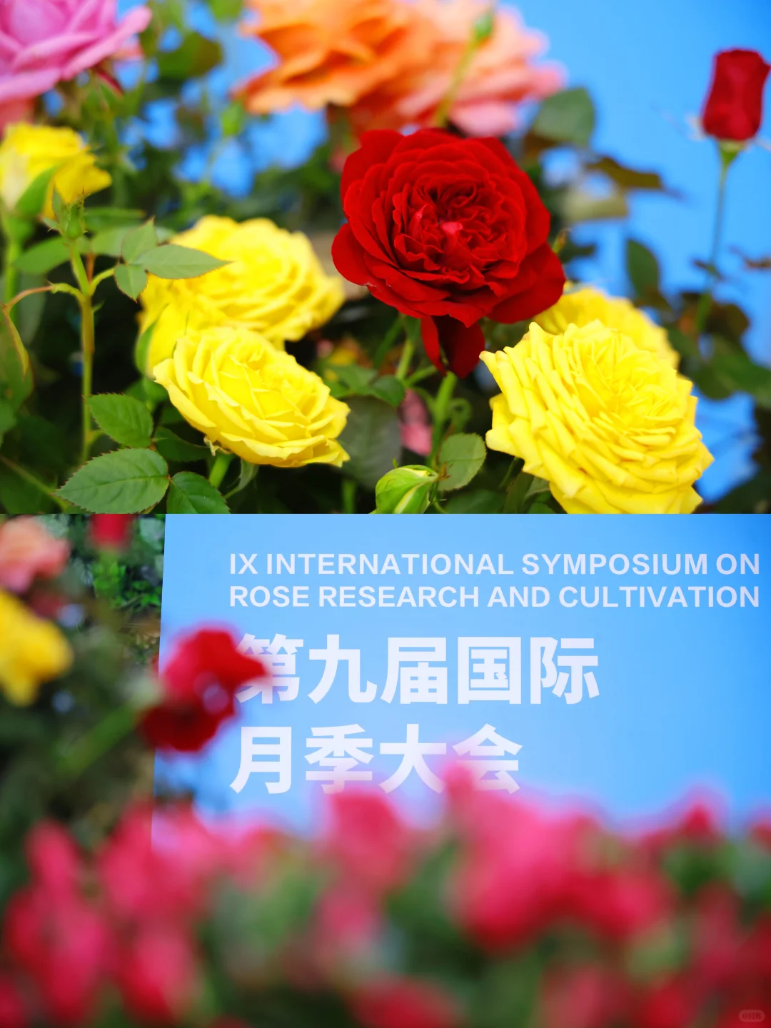 门头沟中骏世界城商场被花“包围”啦🌷 	 宝子们，这个周末不知道去哪...