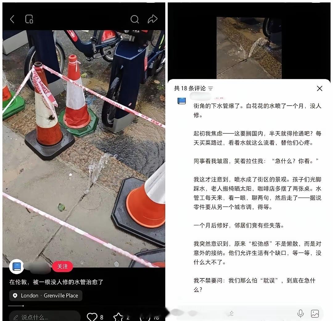 “在伦敦，被一根没人修的水管治愈了” 海外新鲜事热点现场
