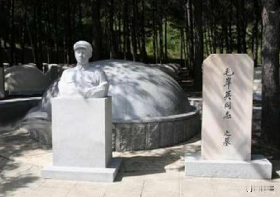 1966年12月25日晚，在押送彭总去北京的列车上，有人问彭总；你坦白，毛岸英同