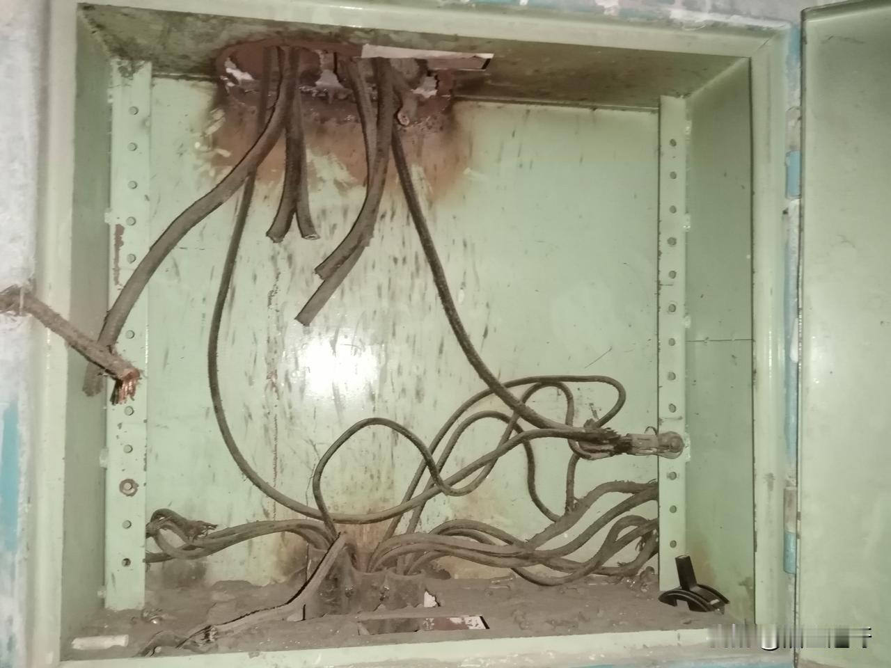 生活在一个盗贼、黑恶势力遍布的小区里是种什么样的感觉？
10月28日中午12点半