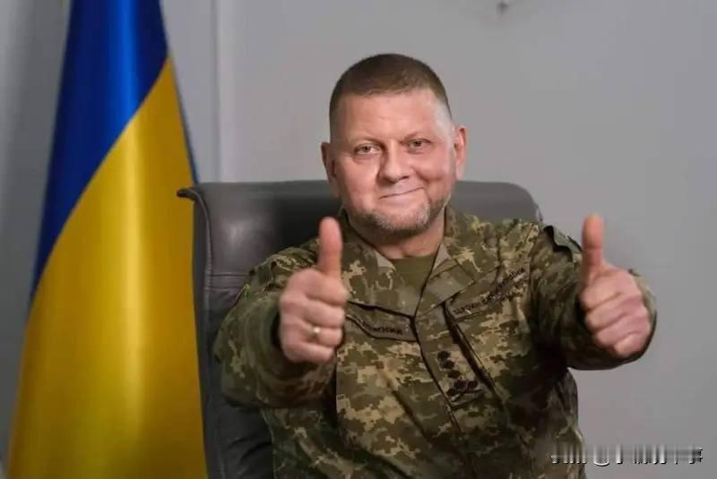 乌克兰武装部队前总司令、现任乌克兰驻英国大使扎卢日内的主要谈话内容：

▪️（俄