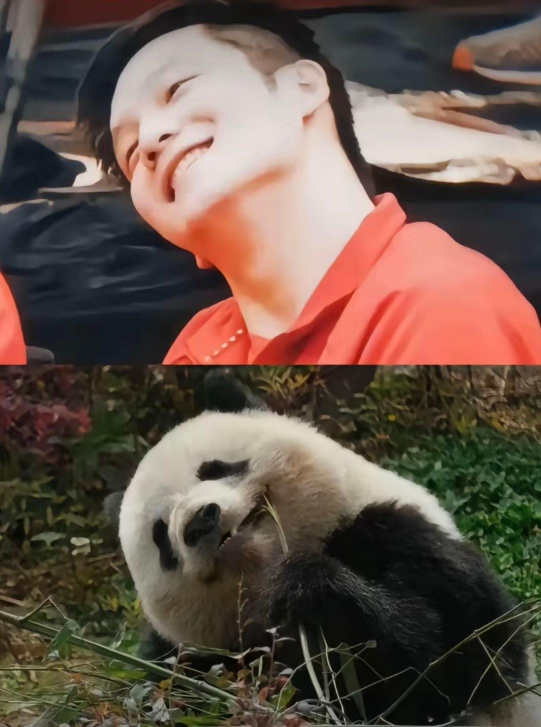 就是这么可爱，同款的“歪头萌” ​​​