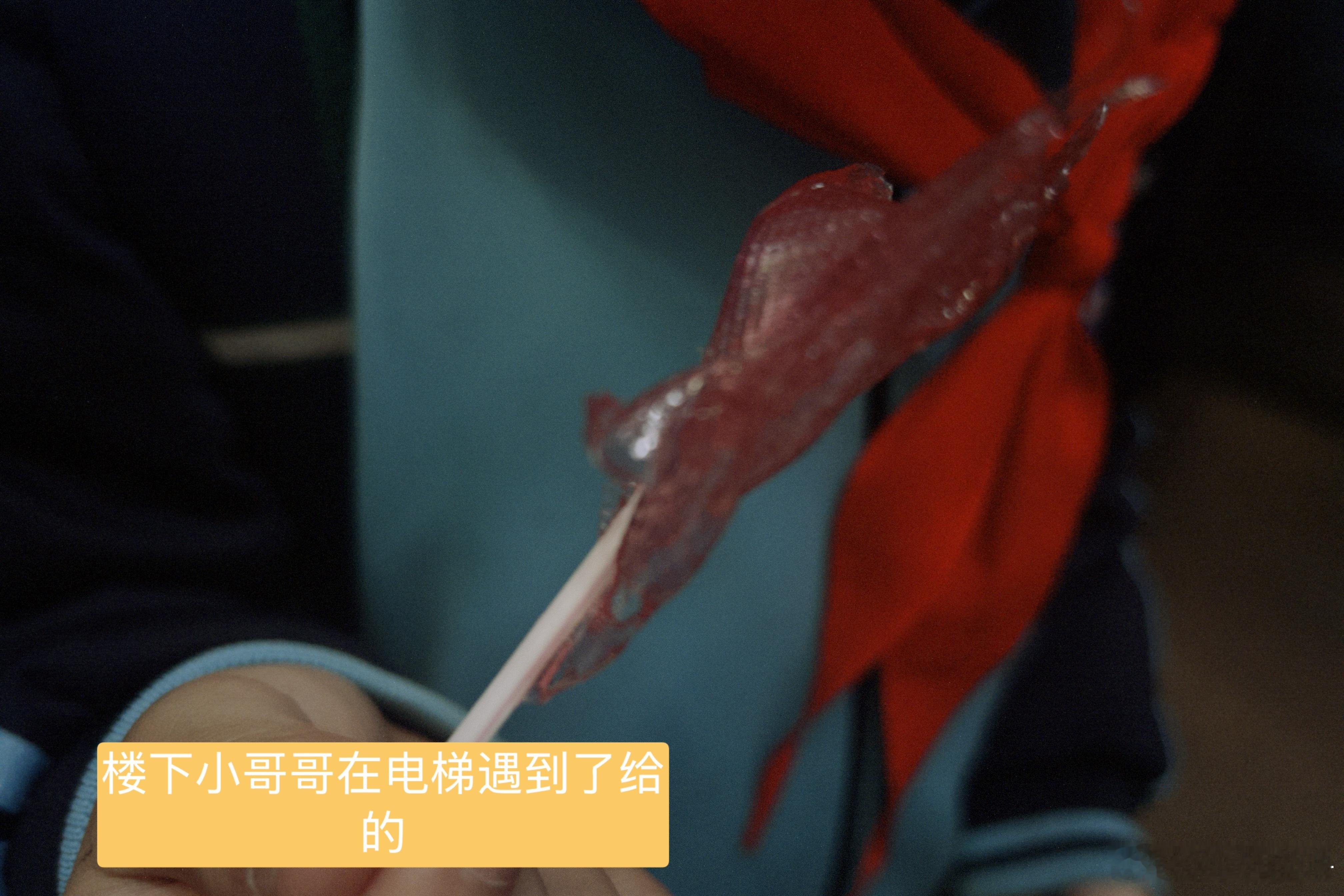 下午追剧追安逸了忘记了时间接娃迟到了娃在大门口东张西望（然后轰炸我：都问我是不是