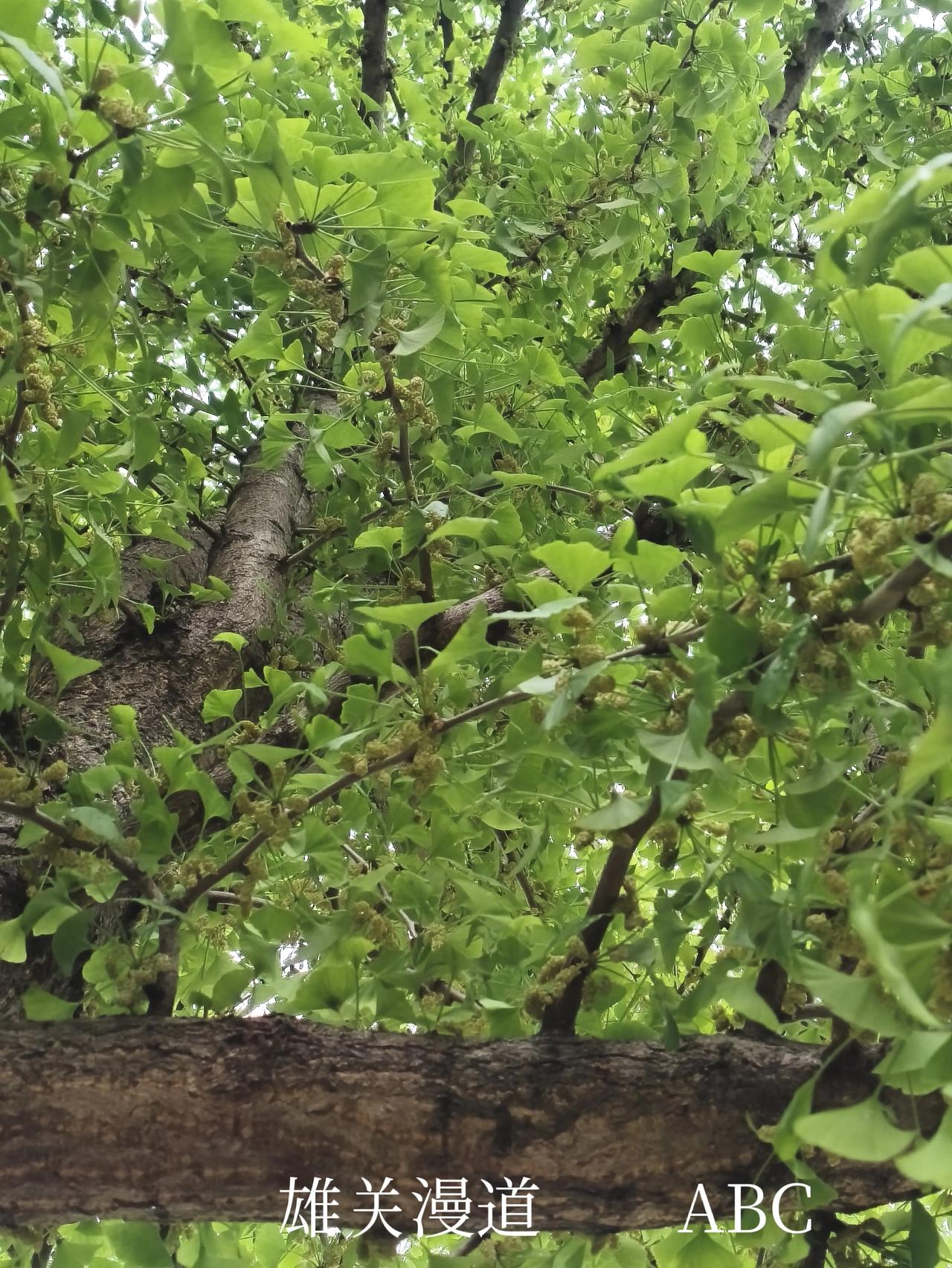 什么样的人堪称女神？韩红老师绝对算一个。
很多人印象里，女神得有精致五官、匀称身
